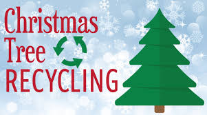 Annual County Christmas Tree Recycling Program